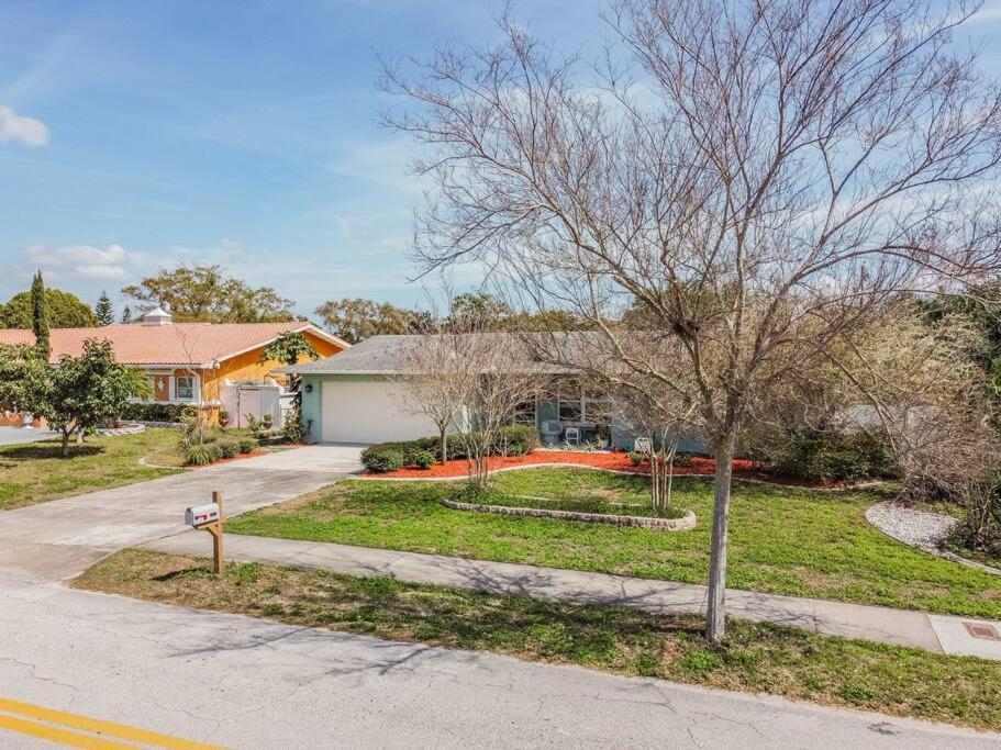 Casabetty Clearwater Florida Βίλα Εξωτερικό φωτογραφία